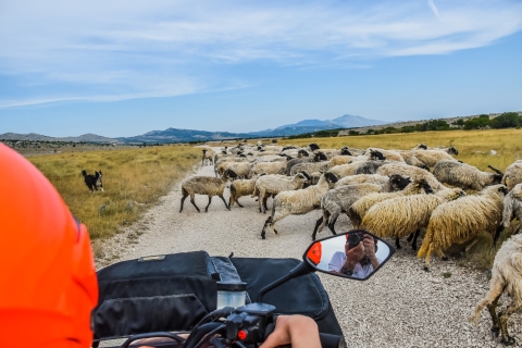 Desde Split: equitación de día completo y quads con almuerzoCuádruple tándem