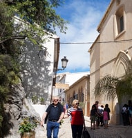 From Albir, Altea, Benidorm & Calpe, Guadalest & Algar Tour - Housity