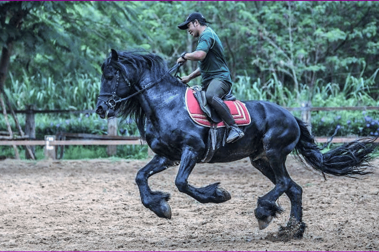 Bangkok: excursión de un día al Parque Nacional Khao Yai con paseo a caballoTour privado de 1 día Parque Nacional Khao Yai y equitación