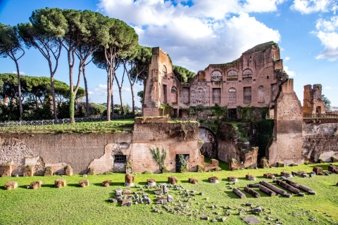 Roma: Coliseo con acceso a la arena y visita guiada al Foro Romano