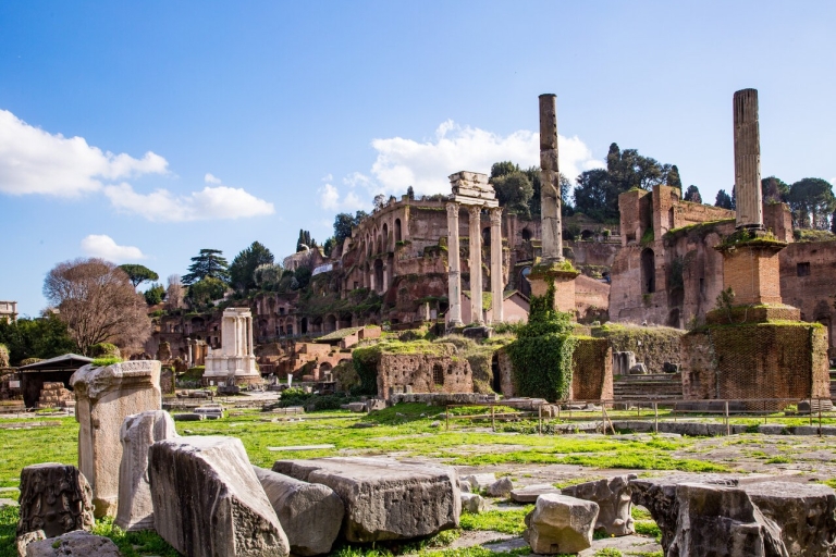 Rome : Colisée avec accès à l'arène et visite guidée du Forum romain