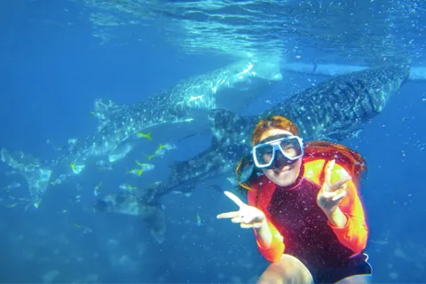 Cebu: Boat Day Trip with Whale Shark Swimming and Lunch