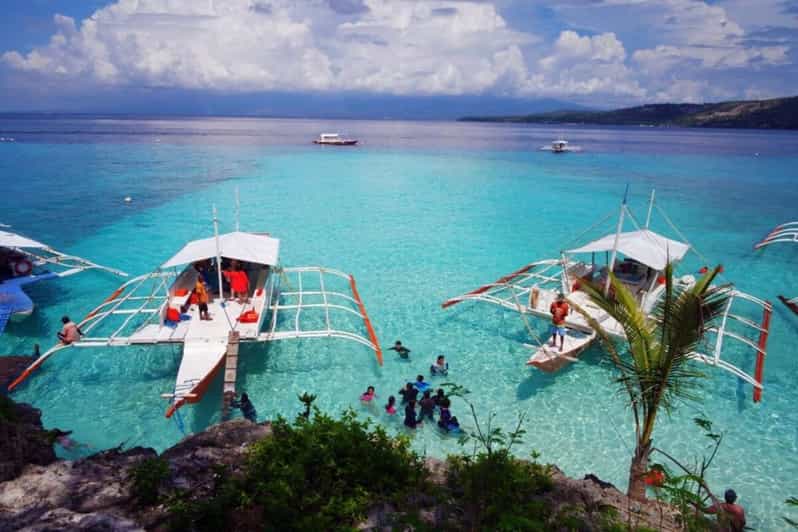 Cebu: Boat Day Trip with Whale Shark Swimming and Lunch | GetYourGuide