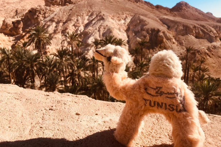 Private 2-Day Tour and Overnight in the Desert from Hammamet/Sousse