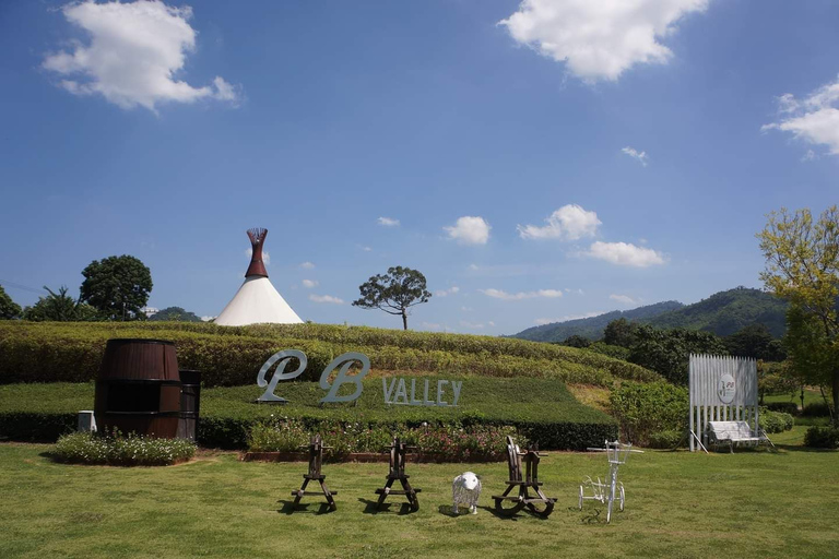 Khao Yai Vineyard Tasting Tour & Horse Farm Visit Private Khao Yai Vineyard Tasting Tour & Horse Farm Visit