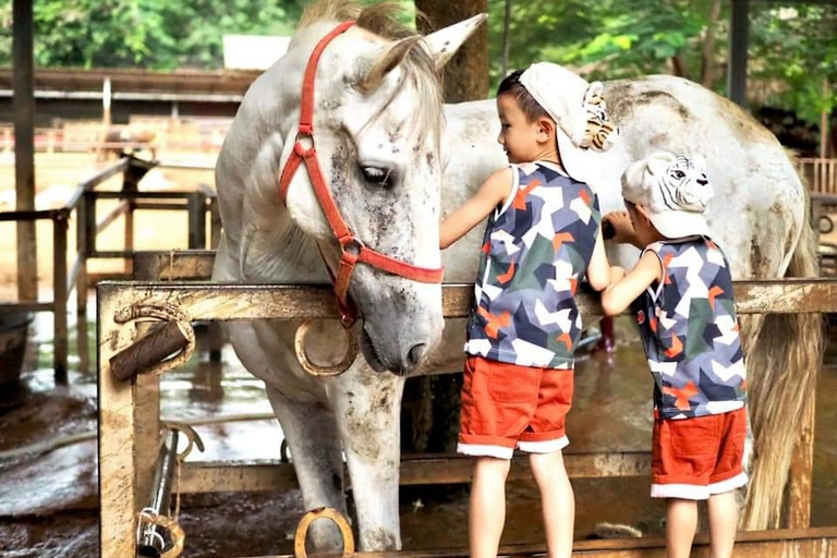 Khao Yai Vineyard Tasting Tour &amp; Horse Farm VisitPrivate Khao Yai Vineyard Tasting Tour &amp; Horse Farm Visit