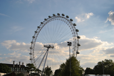 Londres: recorrido turístico privado con chofer