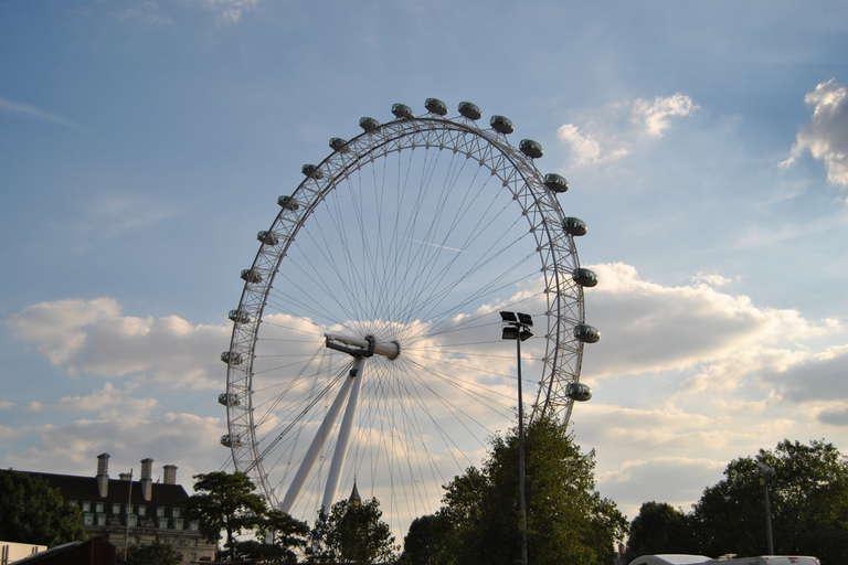 Londres: recorrido turístico privado con chofer