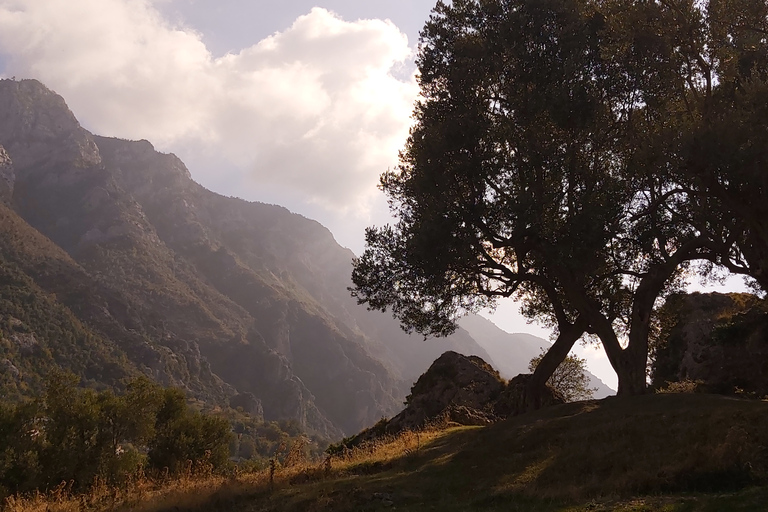 Excursion d'une journée à Tirana et Kruja