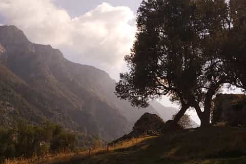 Tirana and Kruja Day Tour