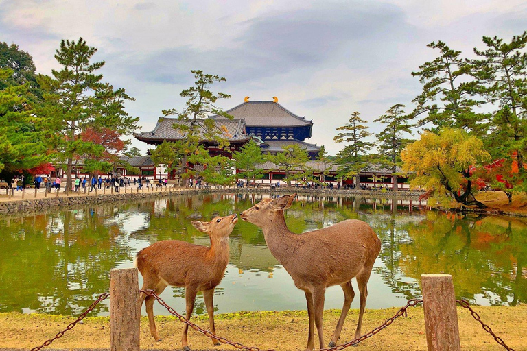 Nara: tour a pie con los templos Kōfuku-ji y Tōdai-jiNara: tour a pie de 7 horas por los templos de Kōfuku-ji y Tōdai-ji