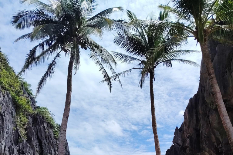 El Nido: Best Private C+D Island-Hopping Tour with Lunch