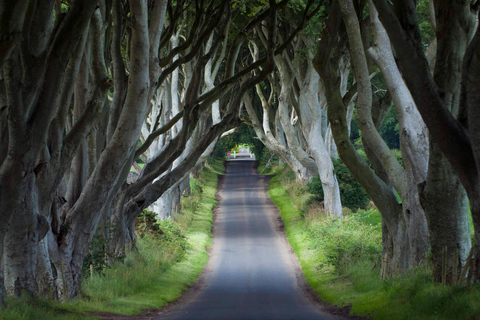 Private Tour of Game of Thrones Filming Locations Ireland