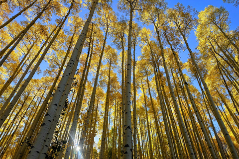 Denver: Caminhada guiada e exploração da cidade nas montanhas