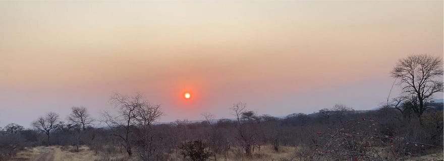 Safari en groupe à Ruaha, 3 jours et 2 nuits