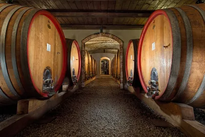Langhe: Kellertour und Weinverkostung