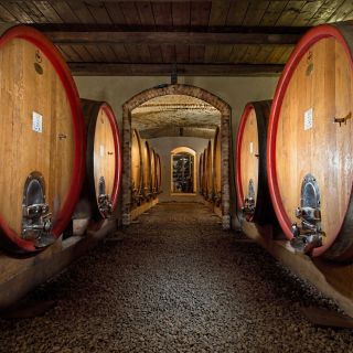 Ланге: тур по винодельне и дегустация вин