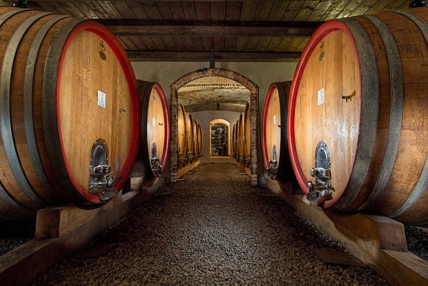 Langhe: tour pela vinícola e degustação de vinhos