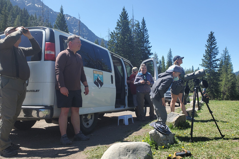 From West Yellowstone: Lamar Valley Wildlife Tour by Van