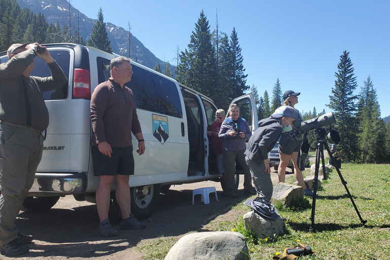 From West Yellowstone: Lamar Valley Wildlife Tour by Van