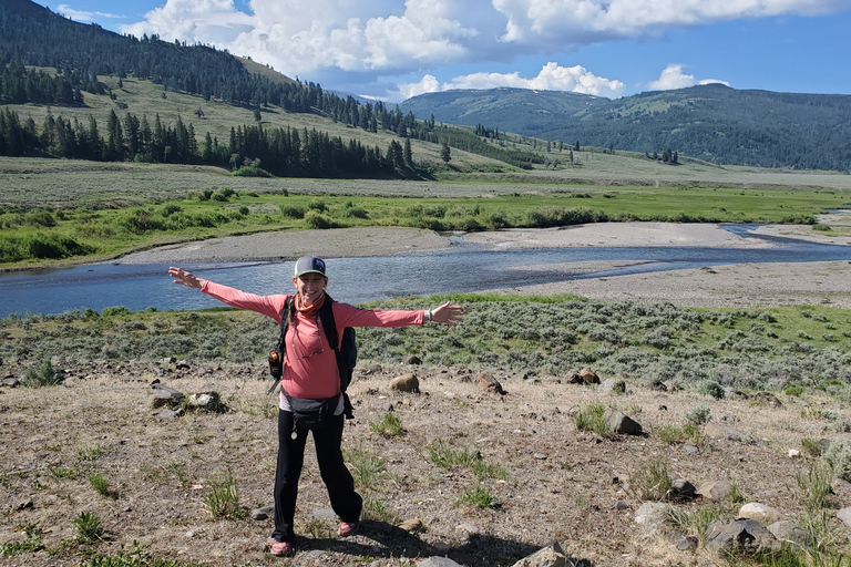 Lamar Valley: tour escursionistico safari con pranzoEscursione safari nella valle di Lamar con pranzo