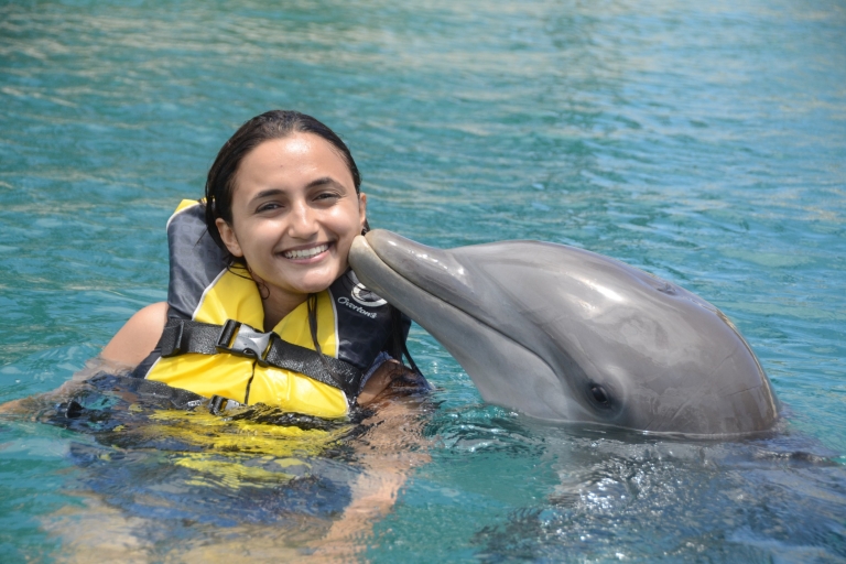 Combo de nado con delfines y leones marinos en Ocean World desde Puerto PlataOpción estándar