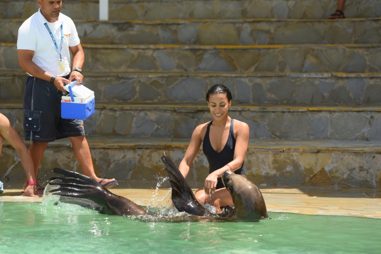 Ocean World Dolphin Swim & Sea Lion Combo vanuit Puerto PlataStandaard Optie:
