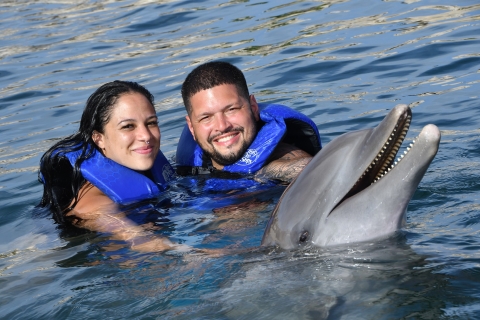Combo de nado con delfines y leones marinos en Ocean World desde Puerto PlataOpción estándar