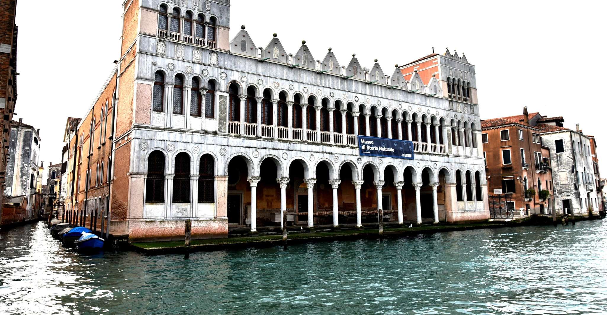 Venice: Natural History Museum Entry Ticket