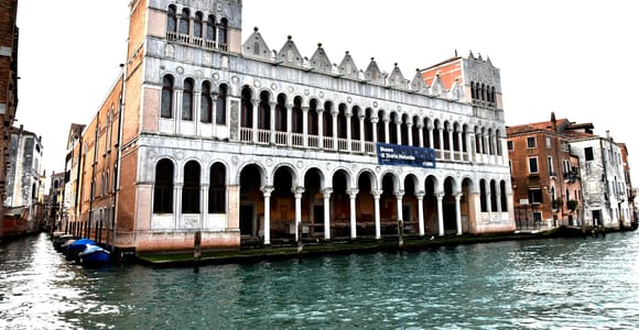 Venice: Natural History Museum Entry Ticket