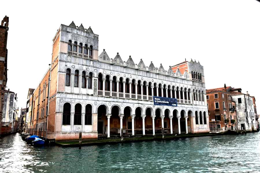 Venedig: Eintrittskarte für das Naturhistorische Museum. Foto: GetYourGuide Venedig: Eintrittskarte für das Naturhistorische Museum. Foto: GetYourGuide