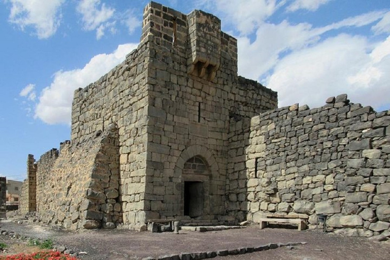 Ammán - Excursión de un día a los Castillos del Desierto y la Reserva del Humedal de AzraqAmmán, Castillos del Desierto y Reserva del Humedal de Azraq VAN DE DÍA COMPLETO