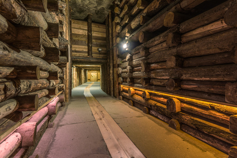 Ab Krakau: Private Tour durch das Salzbergwerk Wieliczka