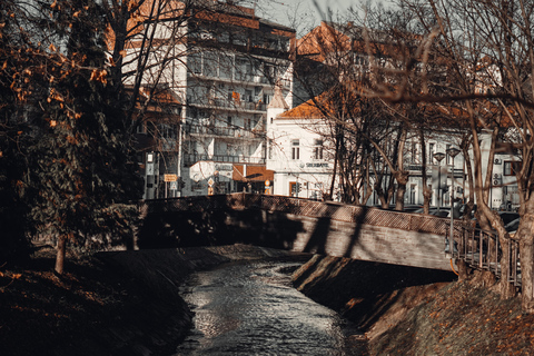 Vanuit Sarajevo: Vranduk &amp; Tešanj Middeleeuwse Tour Kleine GroepSarajevo: Age of Kings - Tour Vranduk en Tešanj