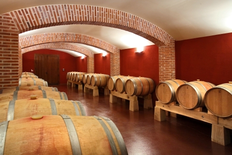 Castille en León: wijngaardtour met wijnproeverijCastille en León: wijngaardbezoek met wijnproeverij