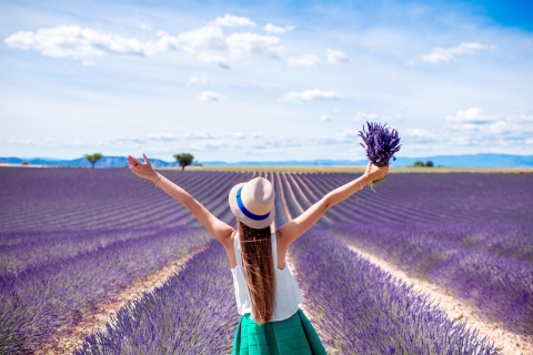 Aix-en-Provence : Excursion d'une journée dans les champs de lavande de Valensole