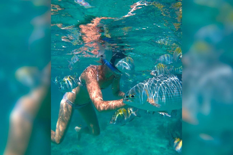 Cancun: Half-Day Private Catamaran for 35 guests