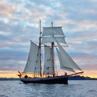 Russell: Sundowner Tall Ship Sailing Adventure with Snacks