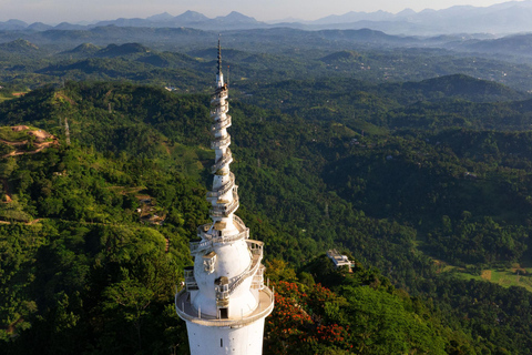 Ambewela to Kandy Scenic Highlands Tour via Nuwara Eliya