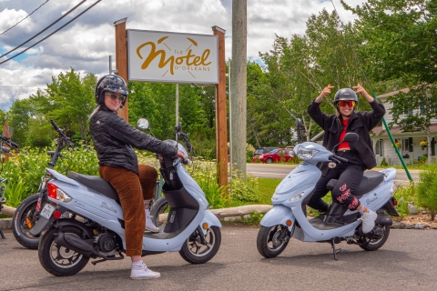Québec : visite guidée en scooter, agrotourisme de l'Île d'OrléansDepuis le Québec : Excursion en scooter sur l'île d'Orléans;chocolat+fraises