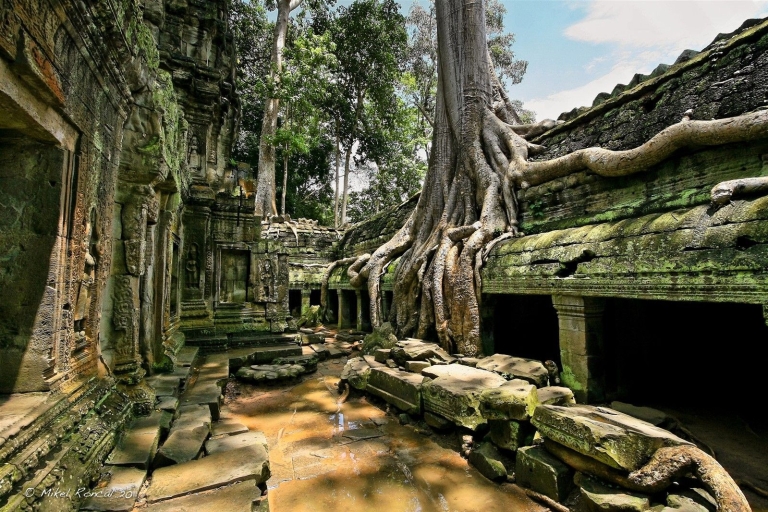 Ab Siem Reap: Kleingruppentour Angkor Wat bei Sonnenaufgang