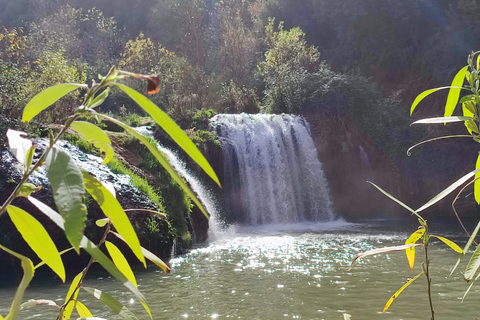 Da Marrakech: Tour di un giorno alle cascate di Ouzoud con escursione in barcaTour di gruppo