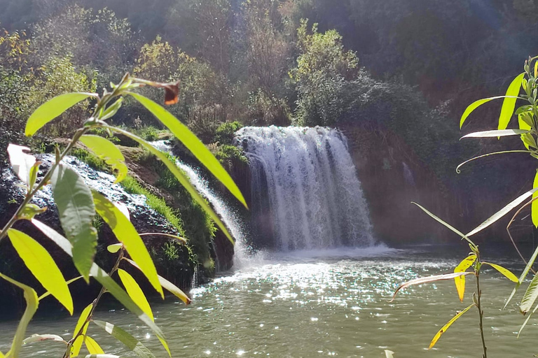 De Marrakech: Excursão de dia inteiro às Cataratas de Ouzoud com passeio de barcoExcursão Compartilhada