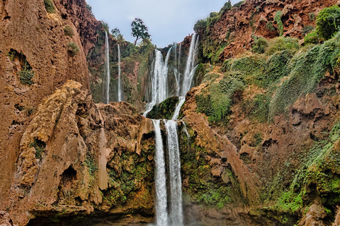 Depuis Marrakech : excursion d'1 journée aux chutes d'OuzoudVisite en groupe