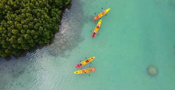 Mauritius: Île d’Ambre Guided Mangrove Kayaking Adventure