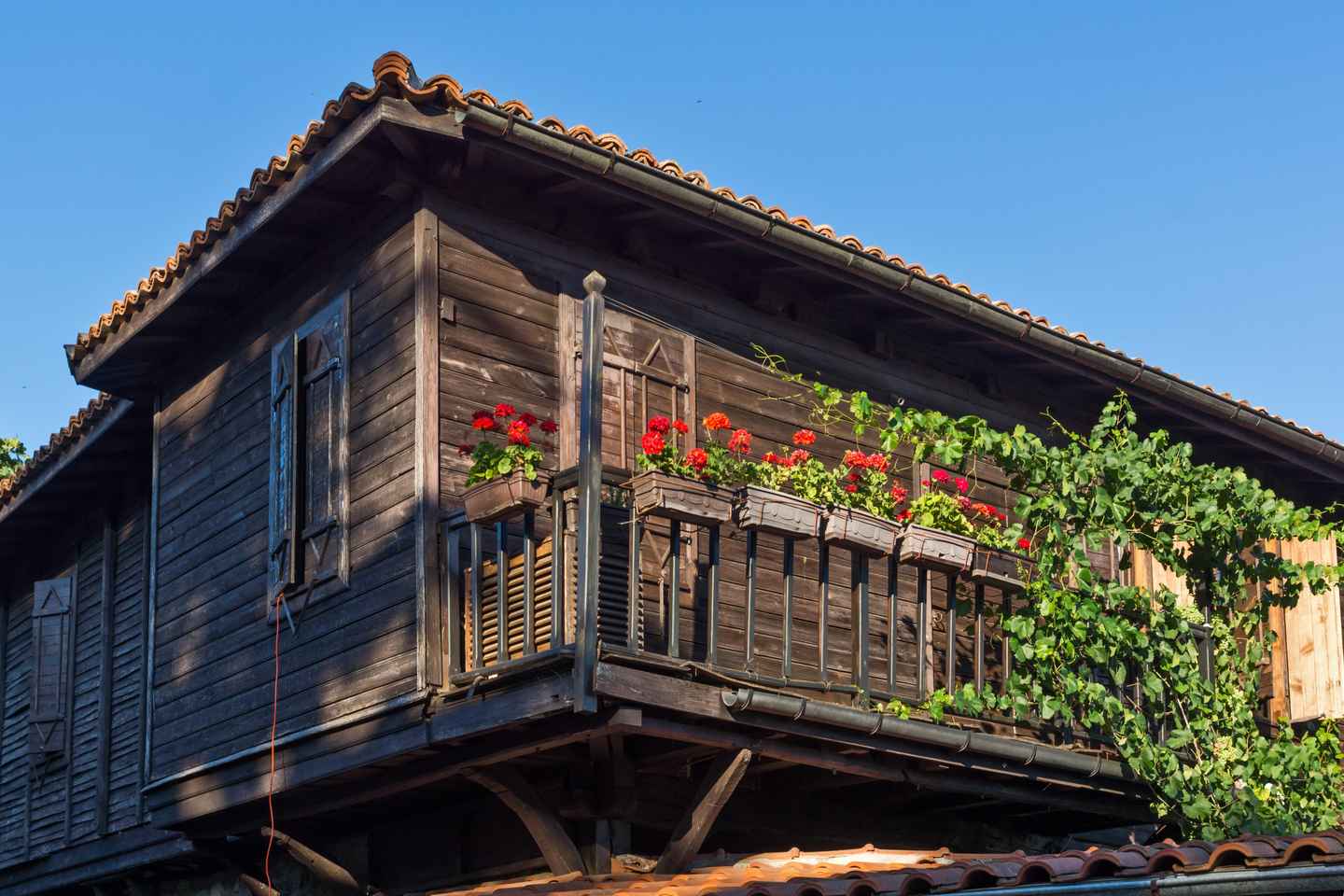 Elenite: Sozopol, Pomorie, Burgas & Boat Cruise - South Tour
