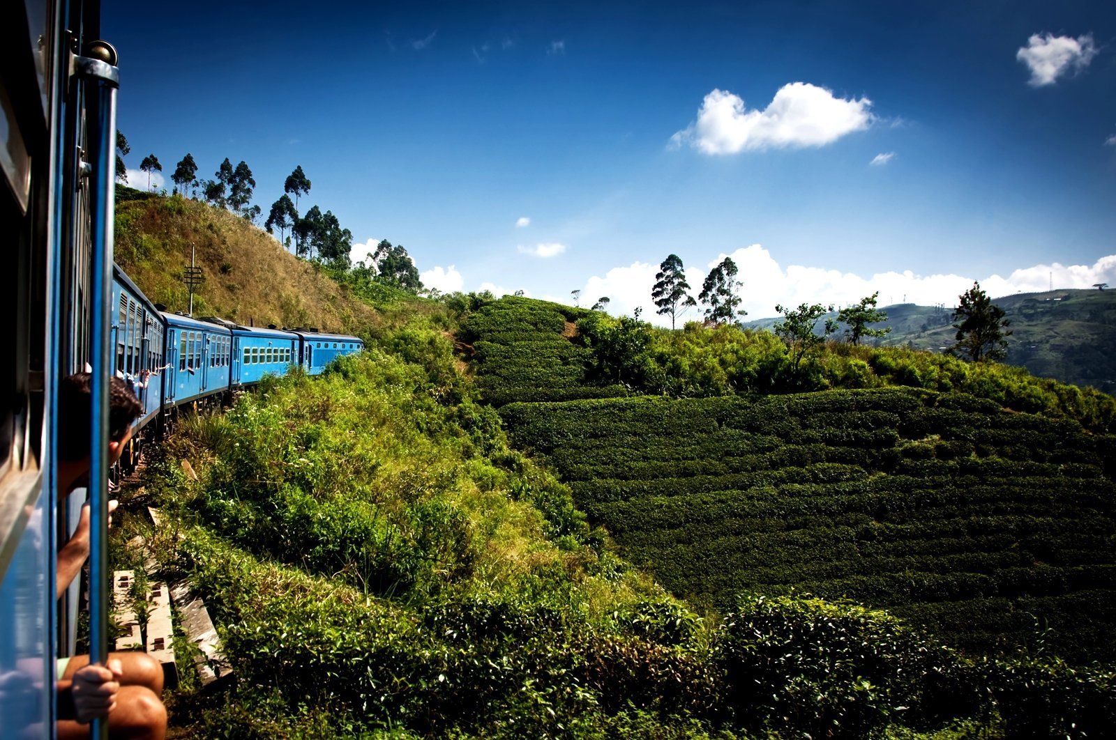 Exklusiv: Panorama-Zugfahrt & private Tour zu den Horton-Plains