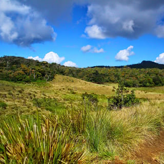 Horton Plains National Park Tour & Scenic Train Ride