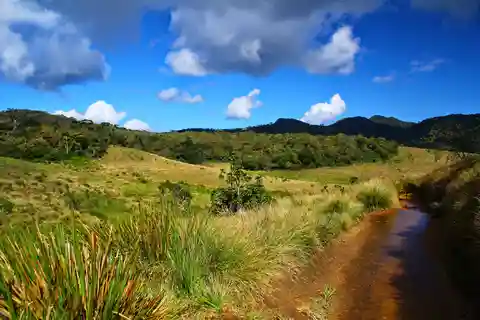 Ella : Scenic Train Ride & Horton Plains Private Tour