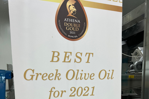 Katakolo: Olympia Tour, Olive Grove & Greek Cooking